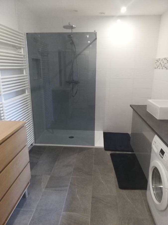 - Gite Appart Orchidee - Luneville - Sejour Famille Ou Pro - 2 Adultes & 2 Enfants מראה חיצוני תמונה